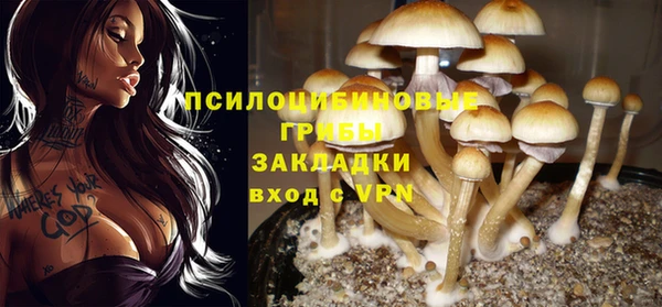 не бодяженный Арсеньев