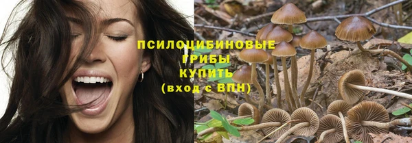 мескалин Покров